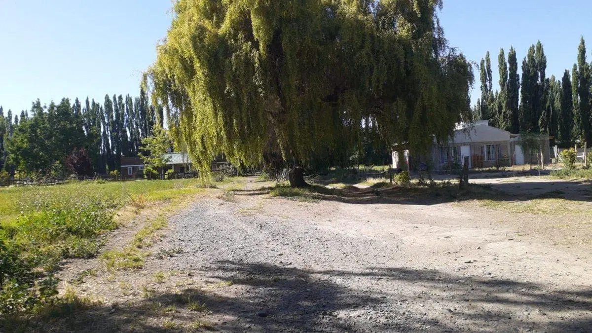 Venta de fracción de chacra – Cinco Saltos 4