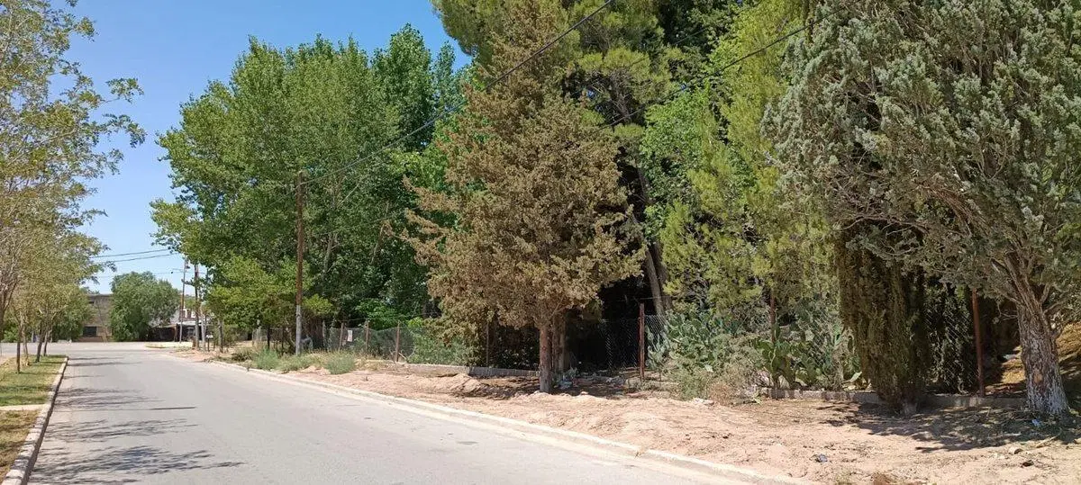 Lote 348 m2 ubicación privilegiada Plaza Huincul 3