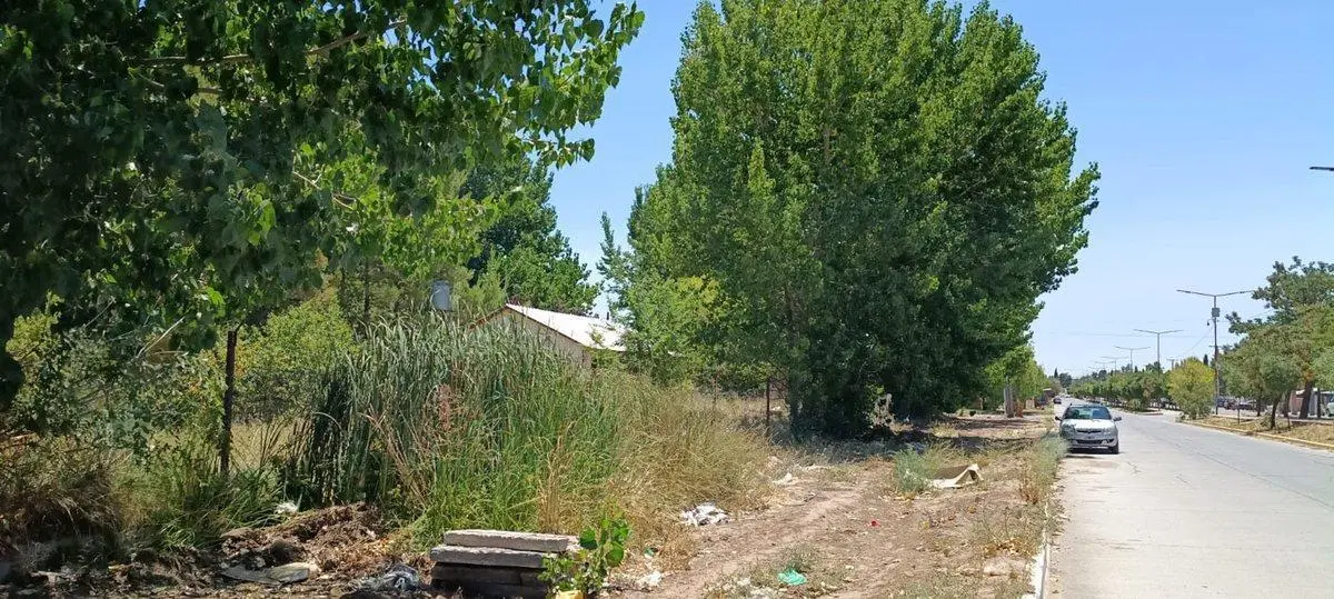 Lote 391 m2 todos los servicios, Plaza Huincul 5