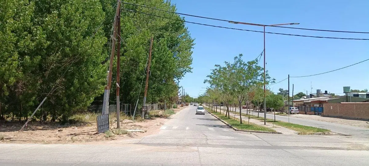 Lote 391 m2 todos los servicios, Plaza Huincul 4