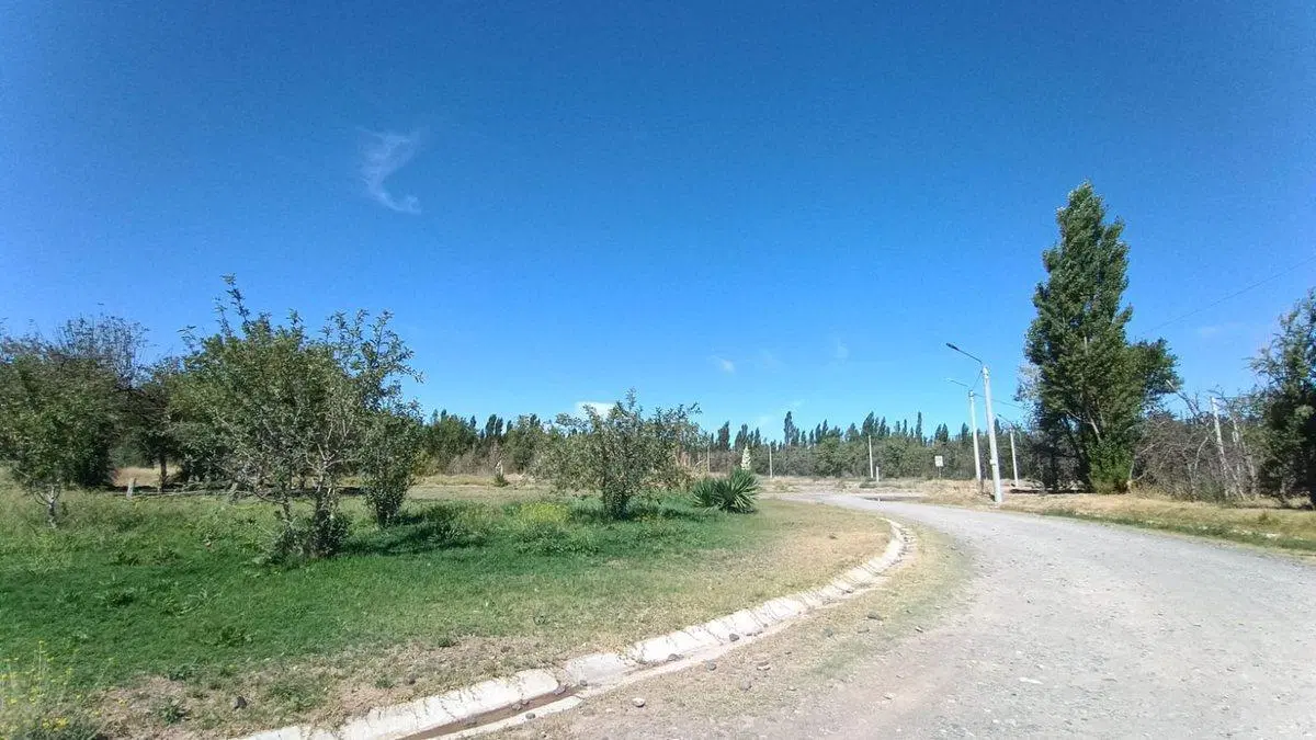 TERRENO EN VENTA B° MANZANAR DE PLOTTIER -PLOTTIER 3