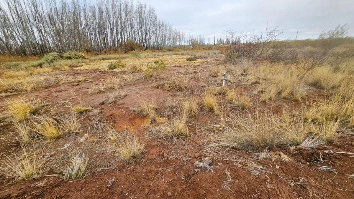 VENTA DE TERRENO DE 300 M2  - LOTEO AMEDEA 2