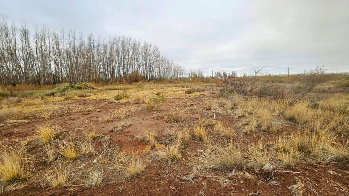 VENTA DE TERRENO DE 300 M2 - LOTEO AMEDEA