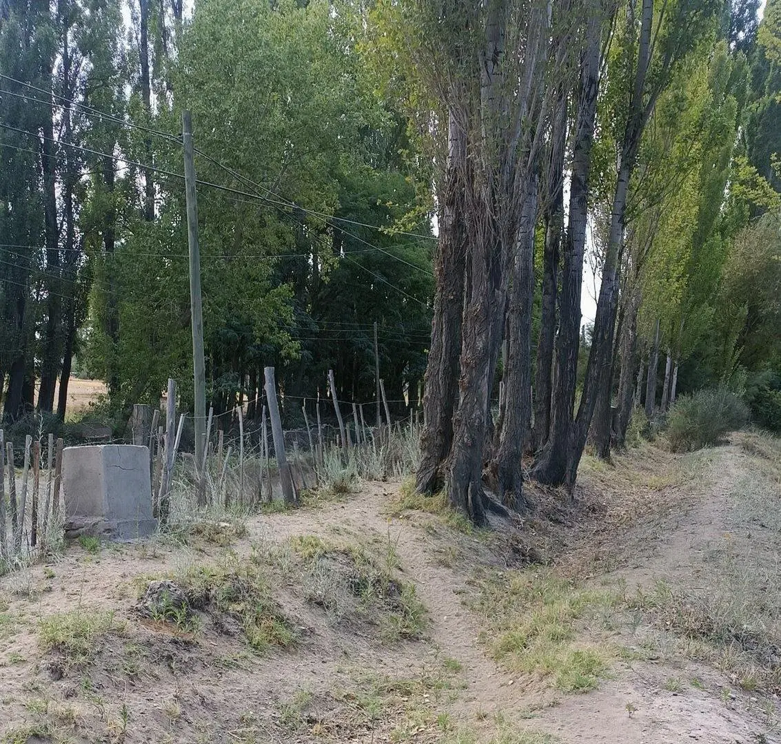 Venta de 1/2 hectarea a 100 metros de la ruta 22 5