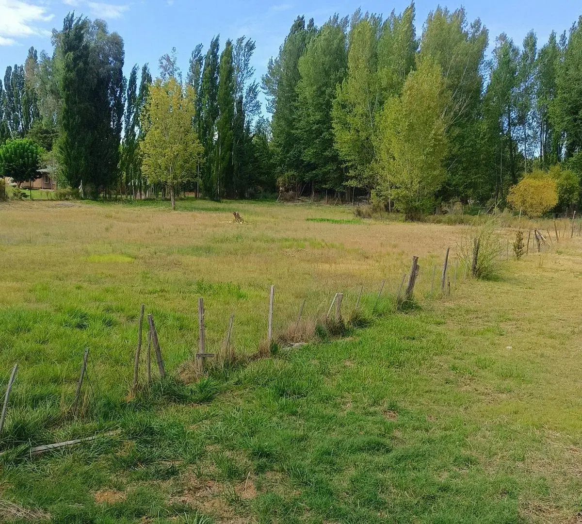 Venta de 1/2 hectarea a 100 metros de la ruta 22 4