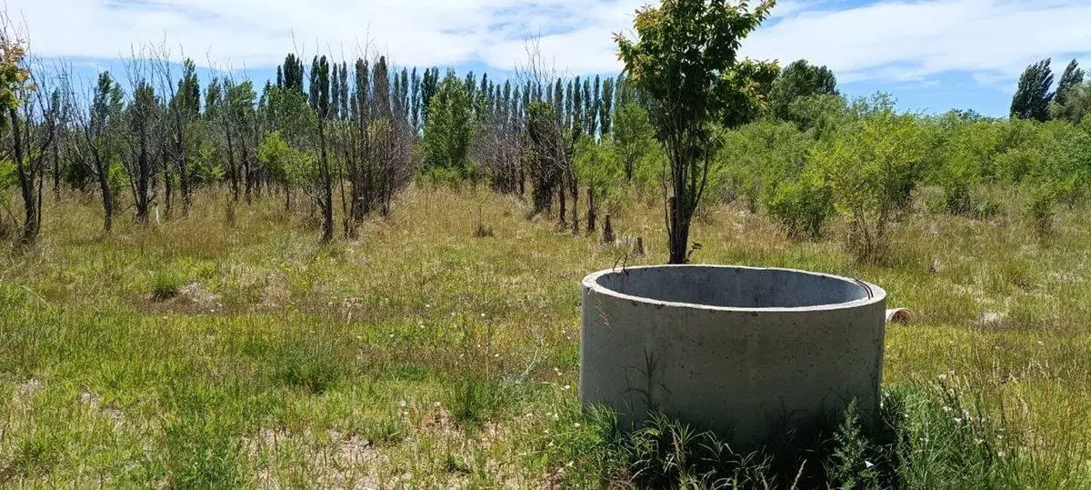 Chacra 2,69 ha con Escritura Ruta 17 Picún Leufú 4