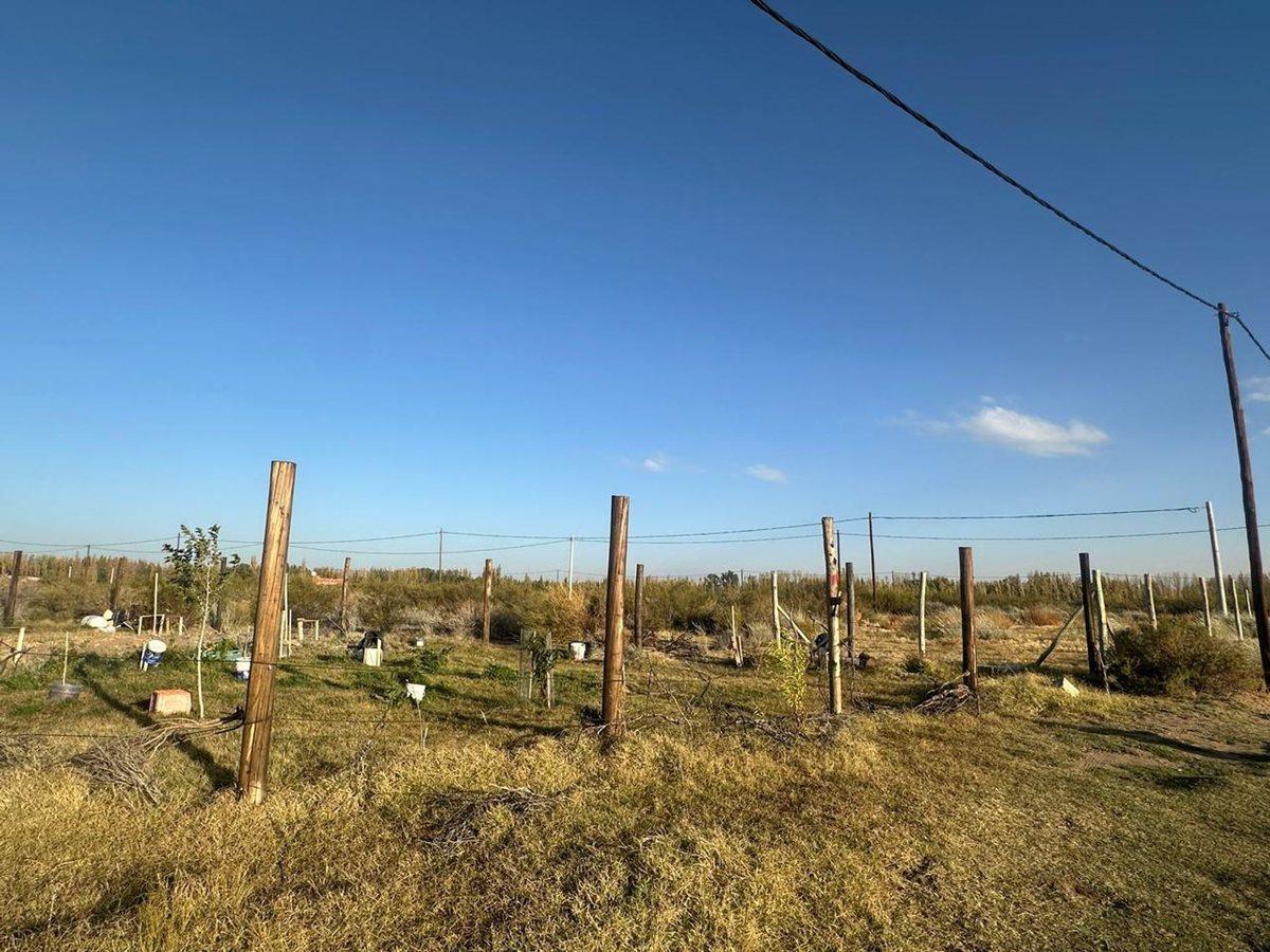 LOTE EN AMEDEA FINANCIADO
