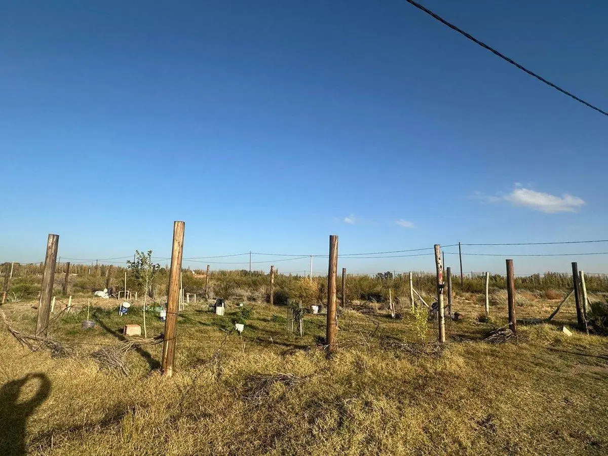 LOTE EN AMEDEA FINANCIADO 3