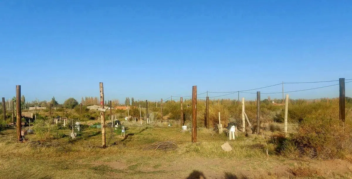 LOTE EN AMEDEA FINANCIADO 4