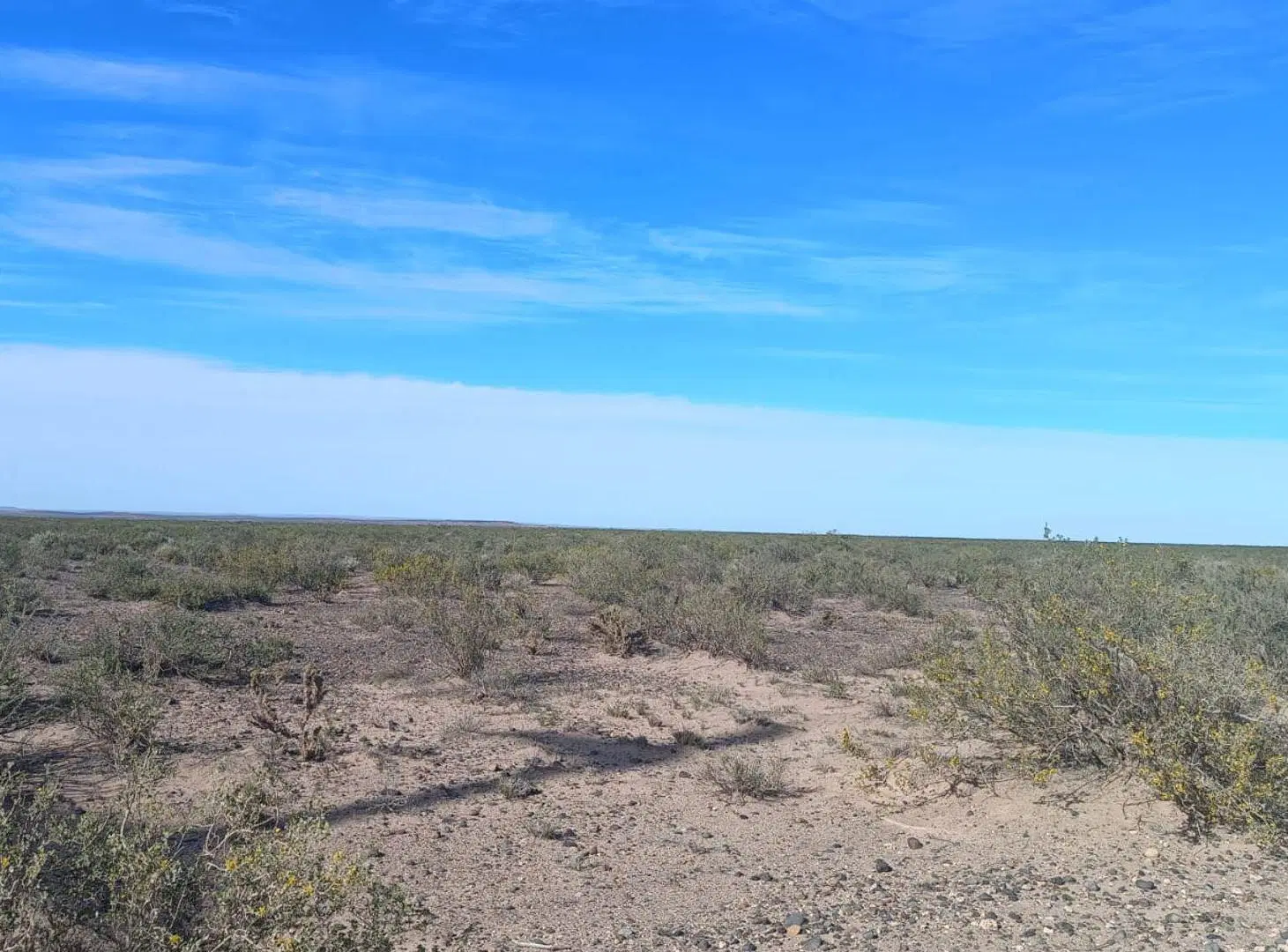 EN VENTA 5 HECTÁREAS - PARQUE INDUSTRIAL NEUQUÉN 5