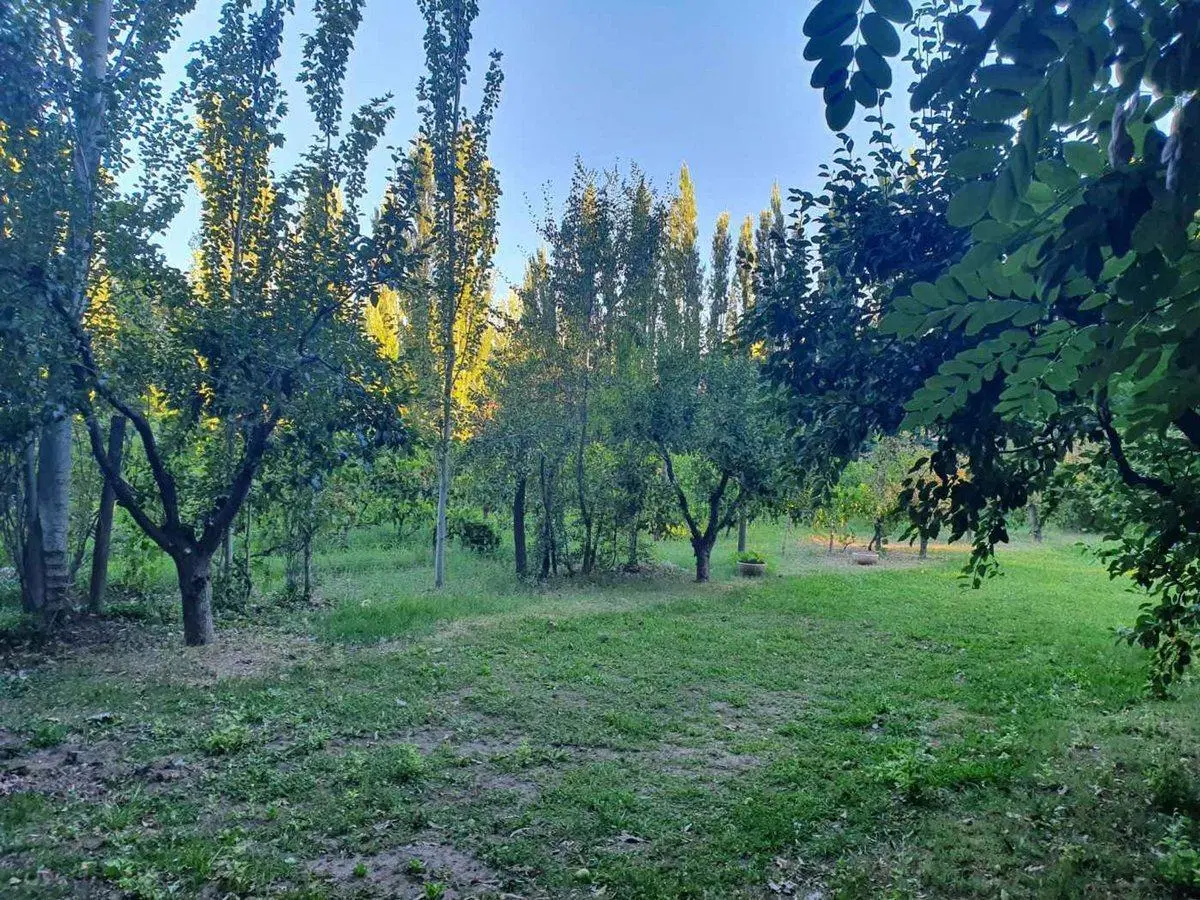 LOTE 10.643 m² EN VENTA | PLOTTIER 3