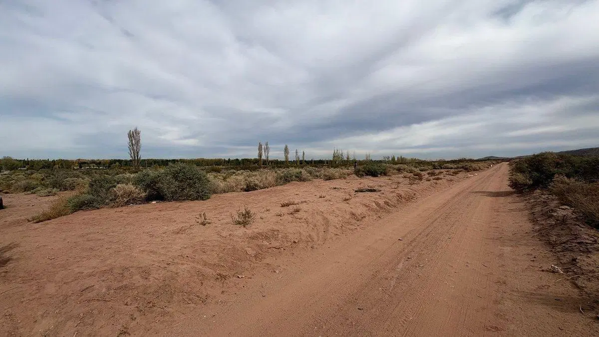 10 HECTAREAS EN VENTA EN PLOTTIER 2