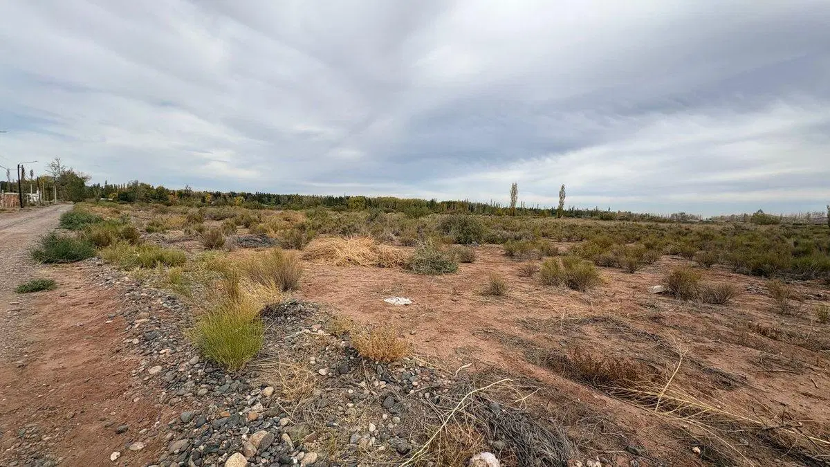 10 HECTAREAS EN VENTA EN PLOTTIER 5