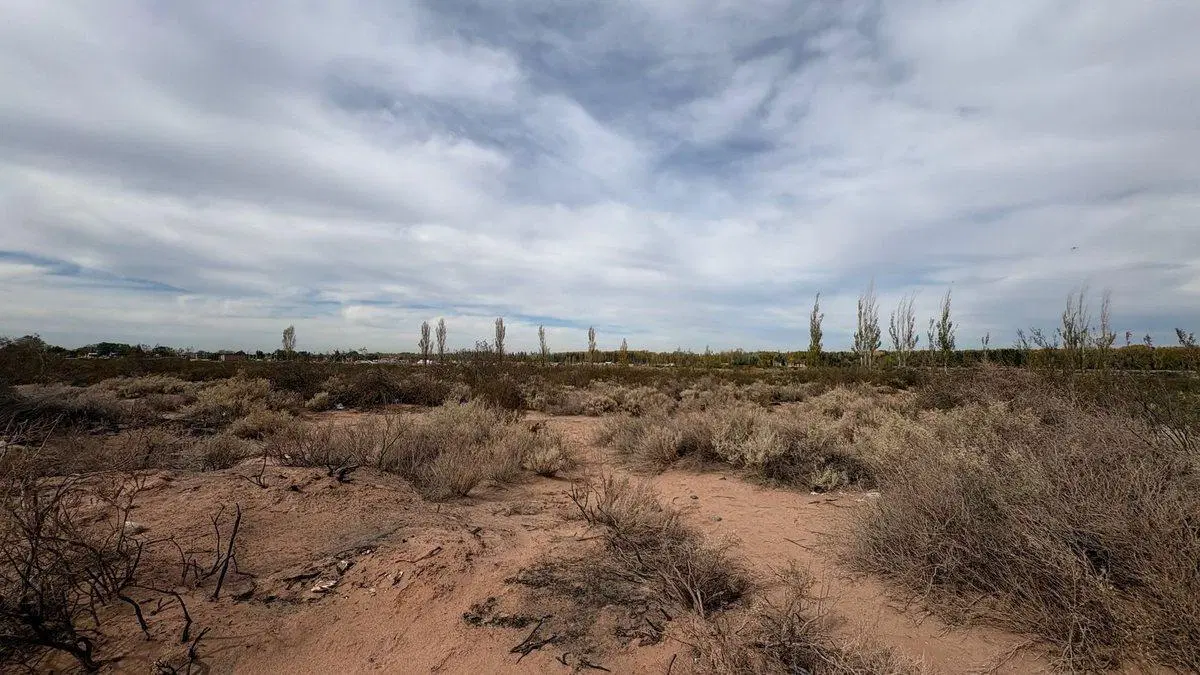10 HECTAREAS EN VENTA EN PLOTTIER 4