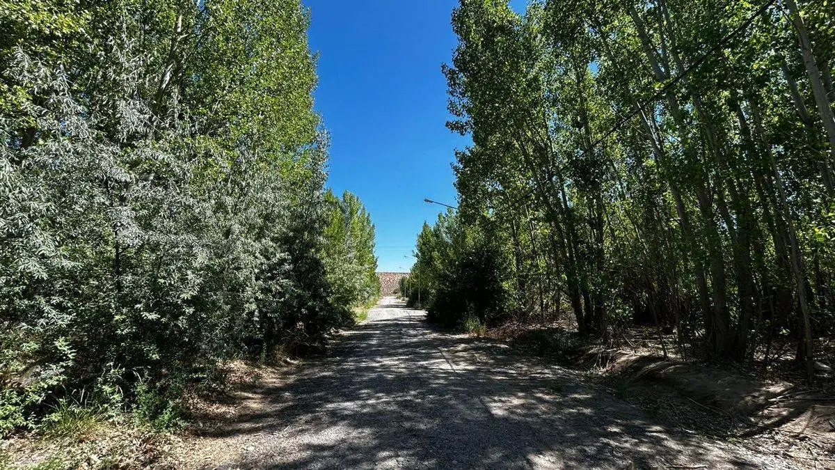 EN VENTA 6 LOTES EN LA FORESTADA, AÑELO, NEUQUEN 4