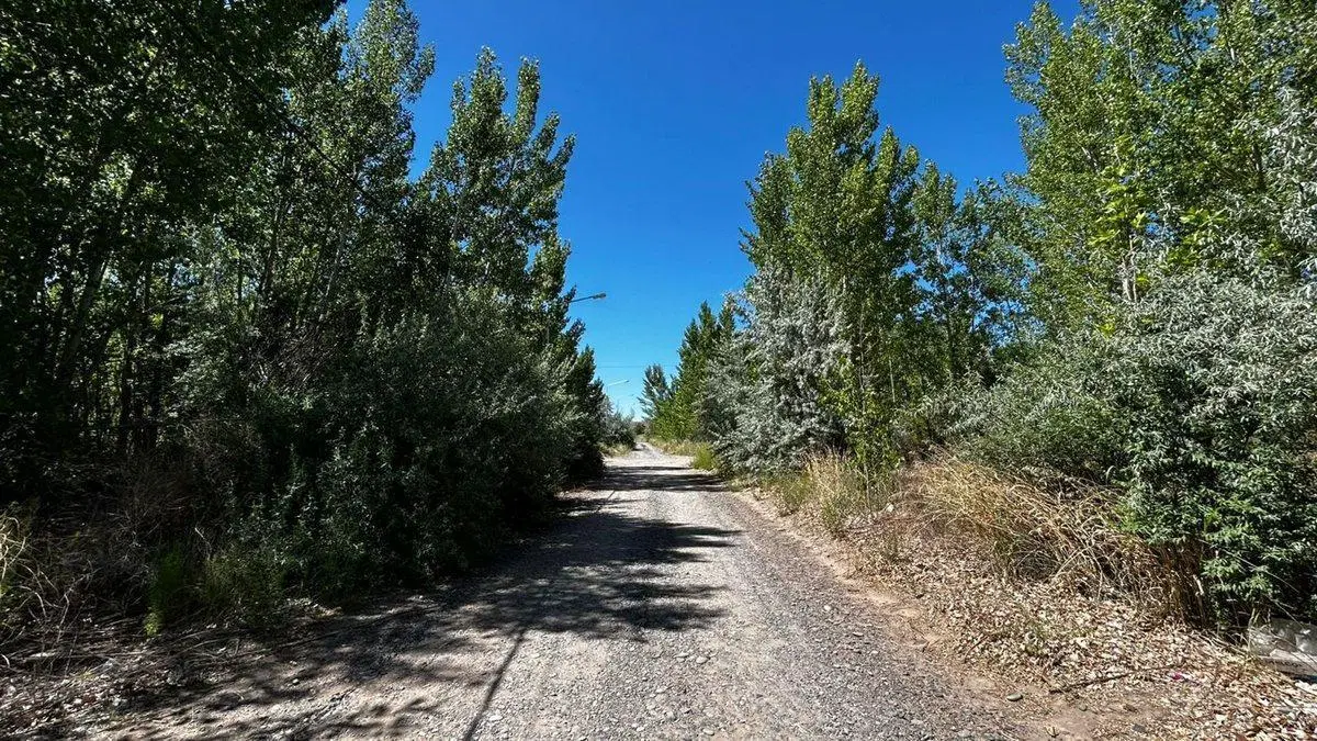 EN VENTA 6 LOTES EN LA FORESTADA, AÑELO, NEUQUEN 3
