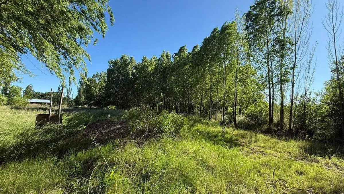 VENTA TERRENO EN CHINA MUERTA, PLOTTIER 3