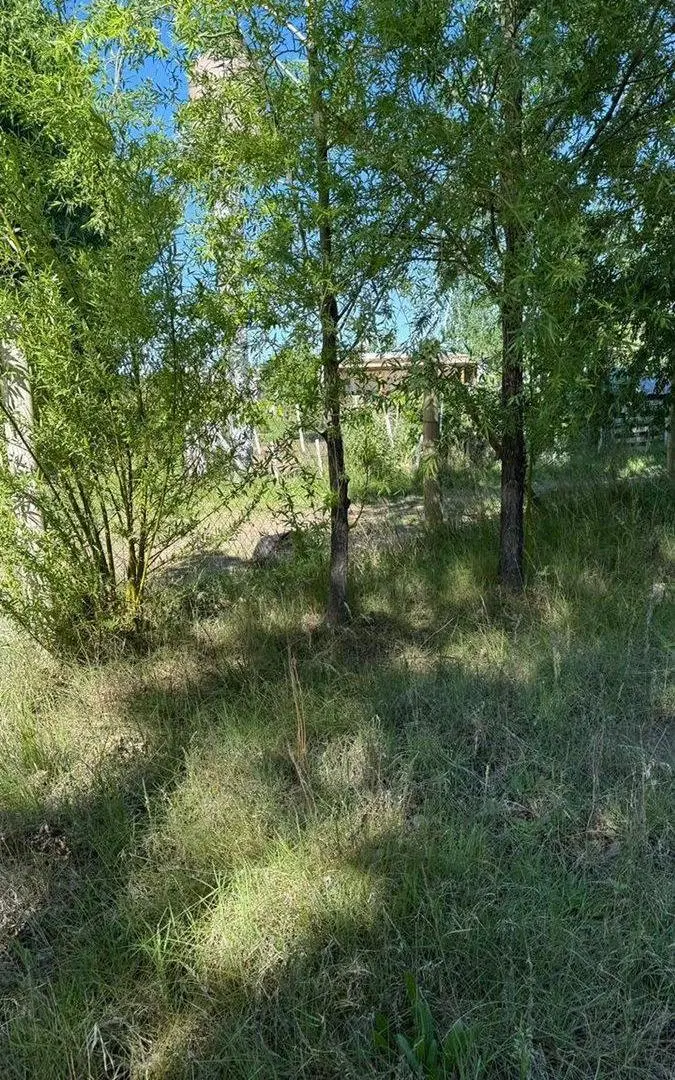VENTA TERRENO EN CHINA MUERTA, PLOTTIER 5