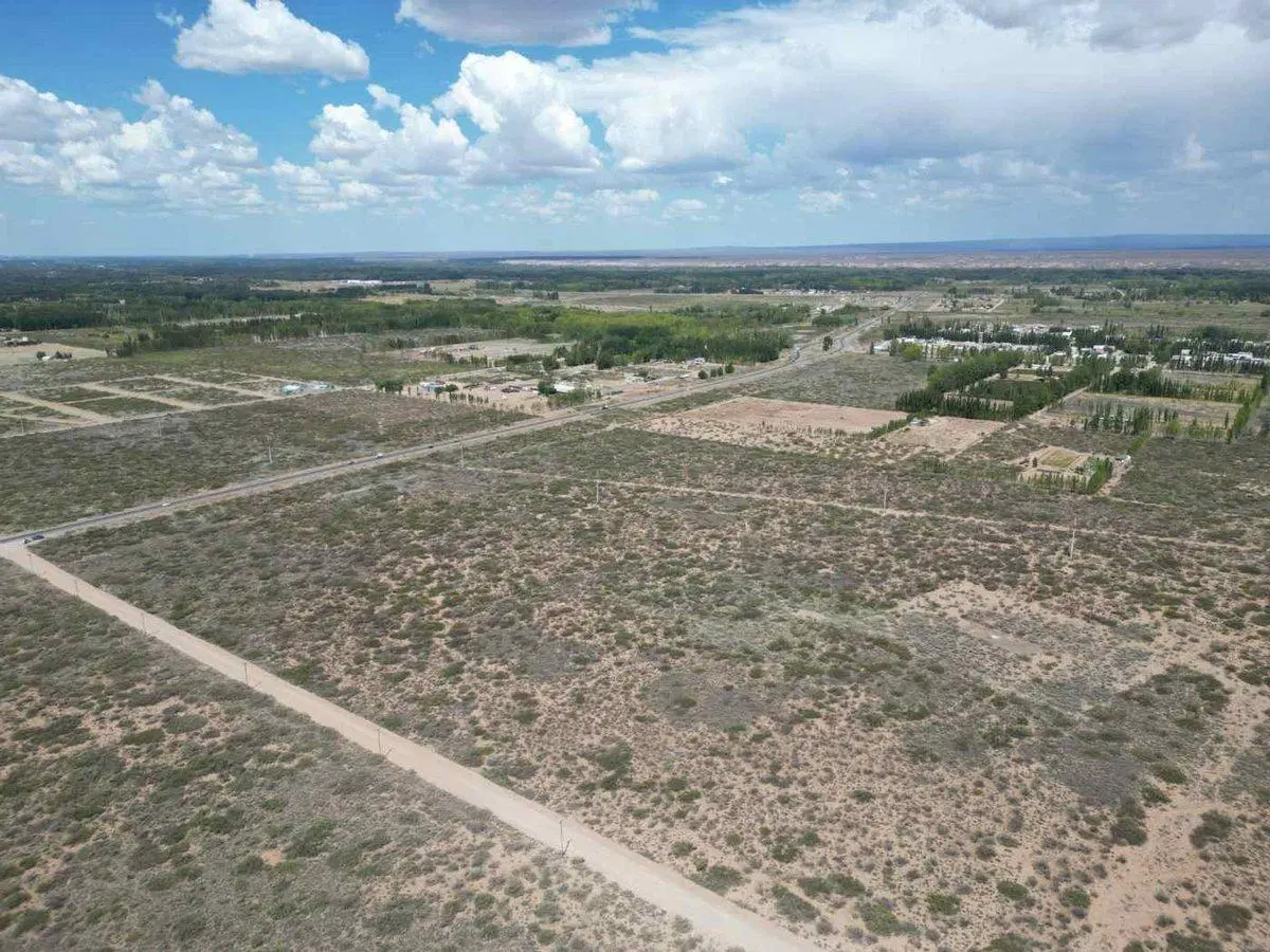 VENTA DE LOTE 6 HECTAREAS PLOTTIER NEUQUEN 4