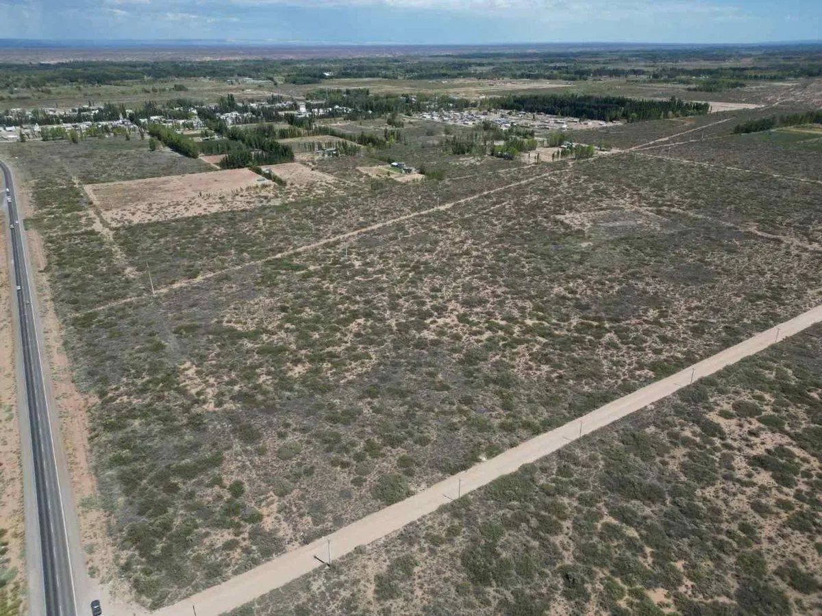 VENTA DE LOTE 6 HECTAREAS PLOTTIER NEUQUEN 3