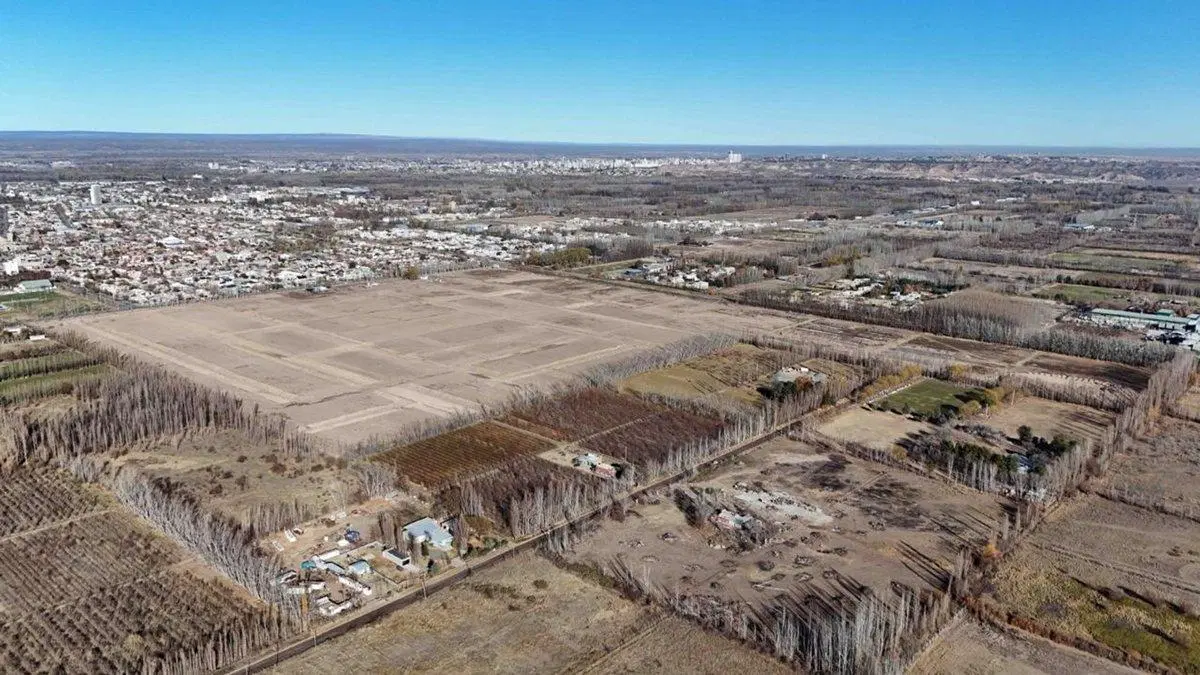 GRAN ALAMEDA, DESARROLLO INMOBILIARIO, CIPOLLETTI 3
