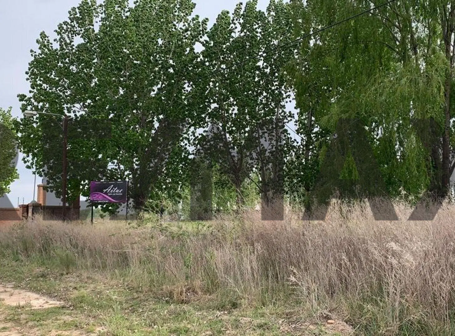 10 HECTAREAS EN VENTA, PLOTTIER 4