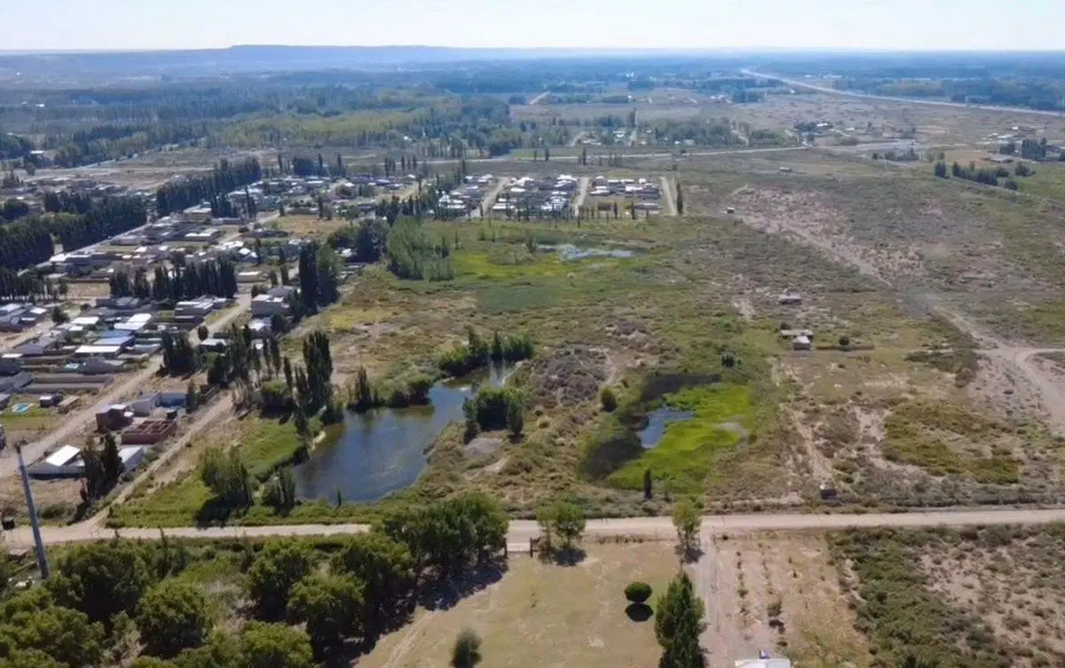 10 HECTAREAS EN VENTA, PLOTTIER 3