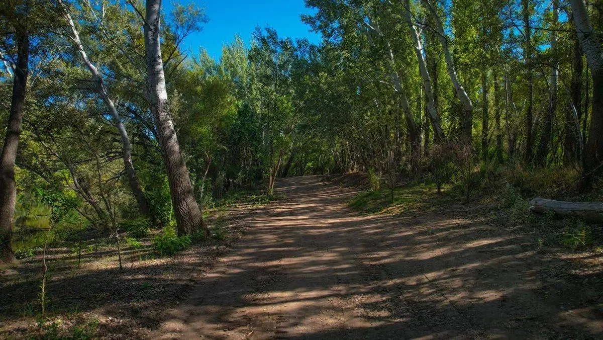 LA RESERVA / Barrio Botánico. 5