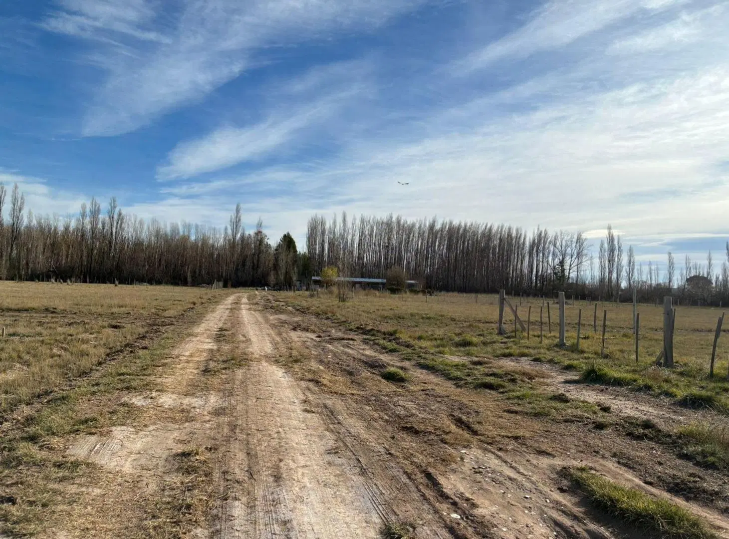 Oportunidad! Lote en Fernández Oro 4
