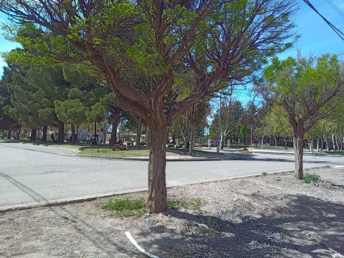 VENTA DE EXCELENTE TERRENO EN ZONA COMERCIAL 3