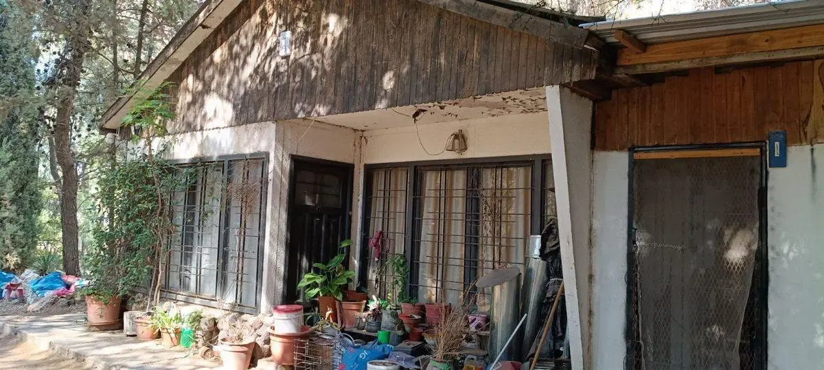 Lote 4870 m2,  muy arbolado y casa, Pza. Huincul 4