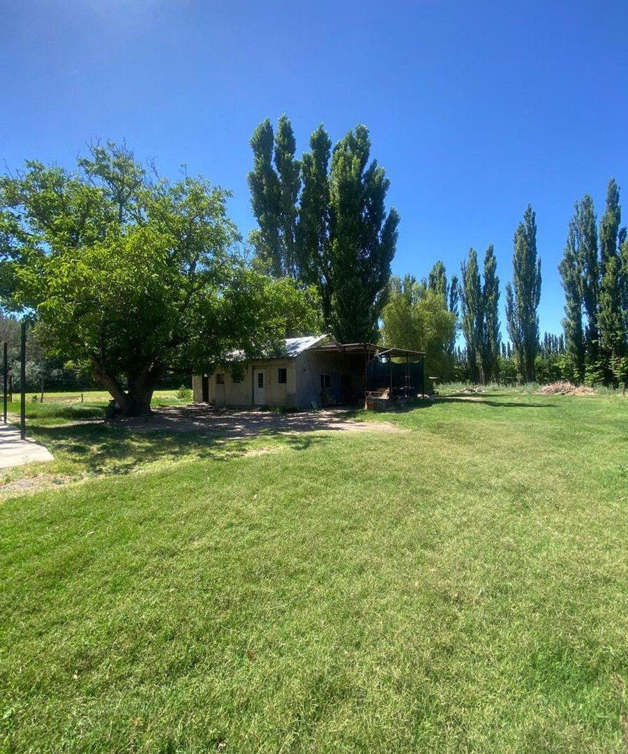 Foto de Venta de fracción de chacra – Cinco Saltos, imagen 2