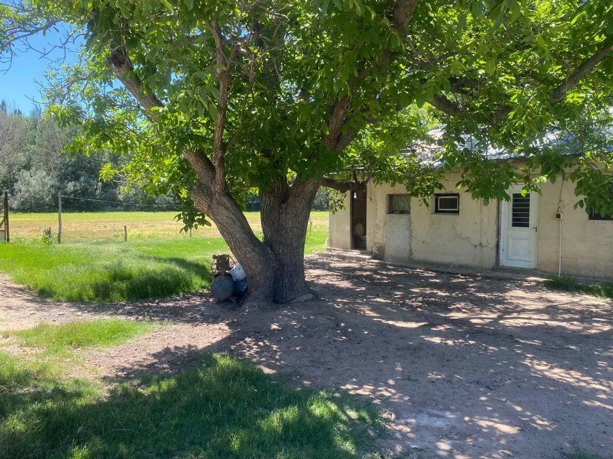 Venta de fracción de chacra – Cinco Saltos 5