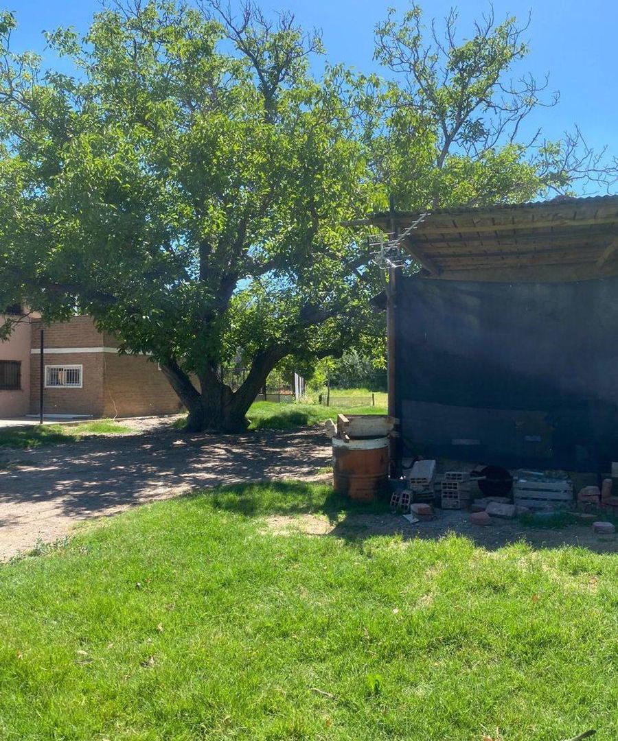 Foto de Venta de fracción de chacra – Cinco Saltos, imagen 1