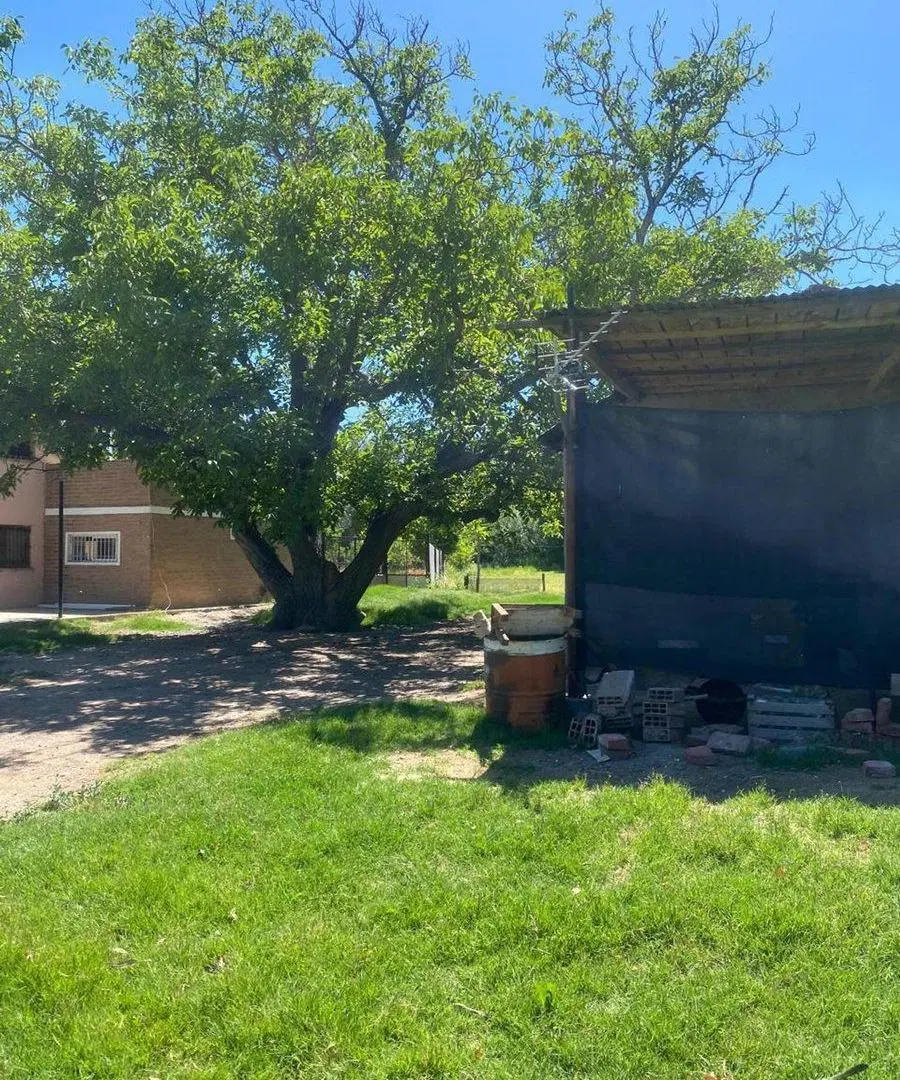 Venta de fracción de chacra – Cinco Saltos 1