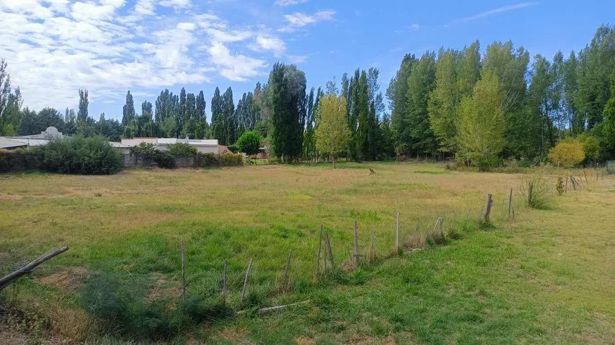 Venta de 1/2 hectarea a 100 metros de la ruta 22 4