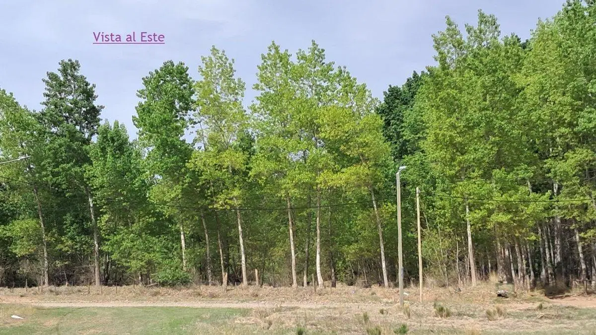 VENTA de TERRENO en Loteo EL GAUCHITO, PLOTTIER 4