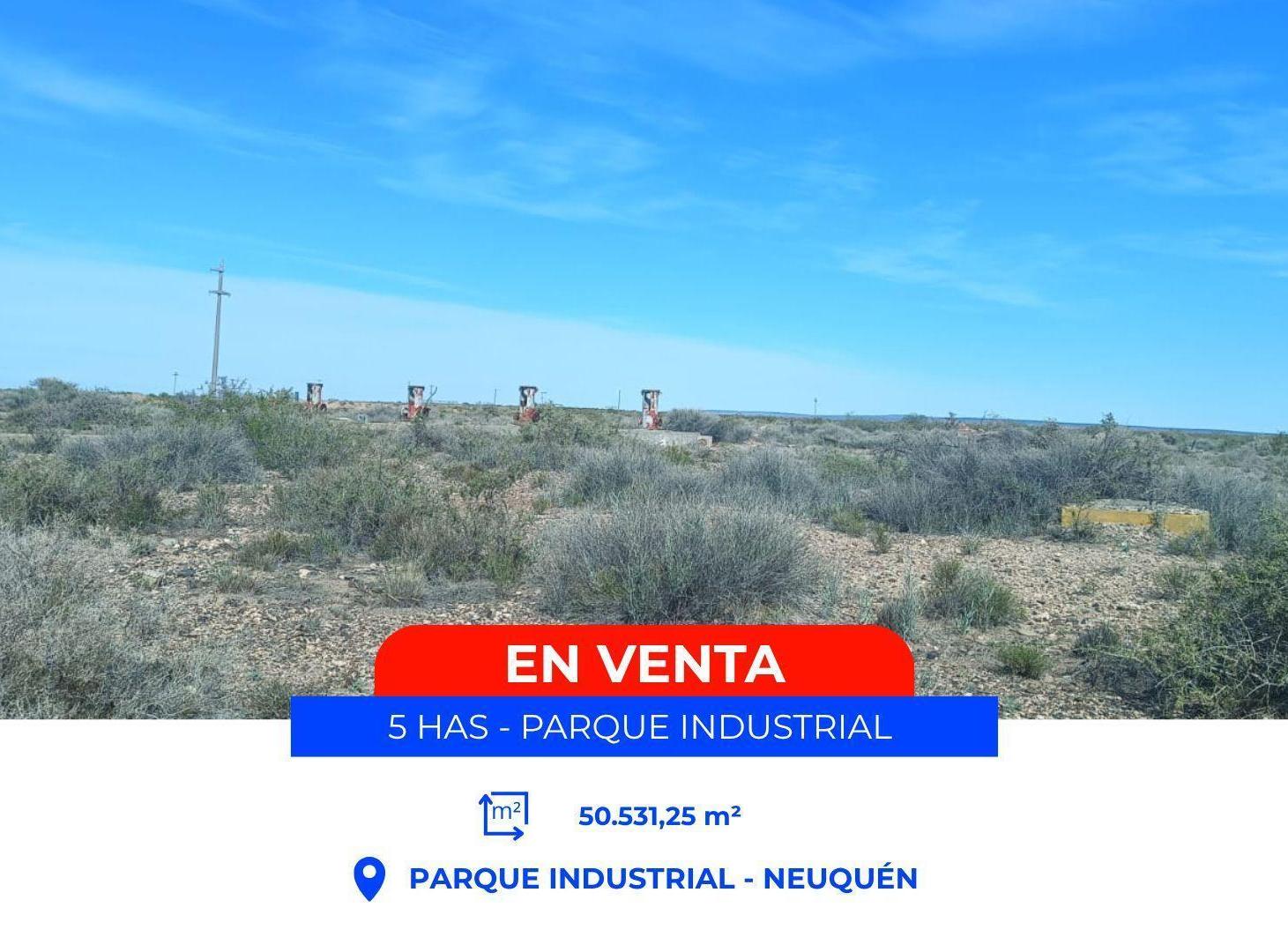Foto de EN VENTA 5 HECTÁREAS - PARQUE INDUSTRIAL NEUQUÉN, imagen 5
