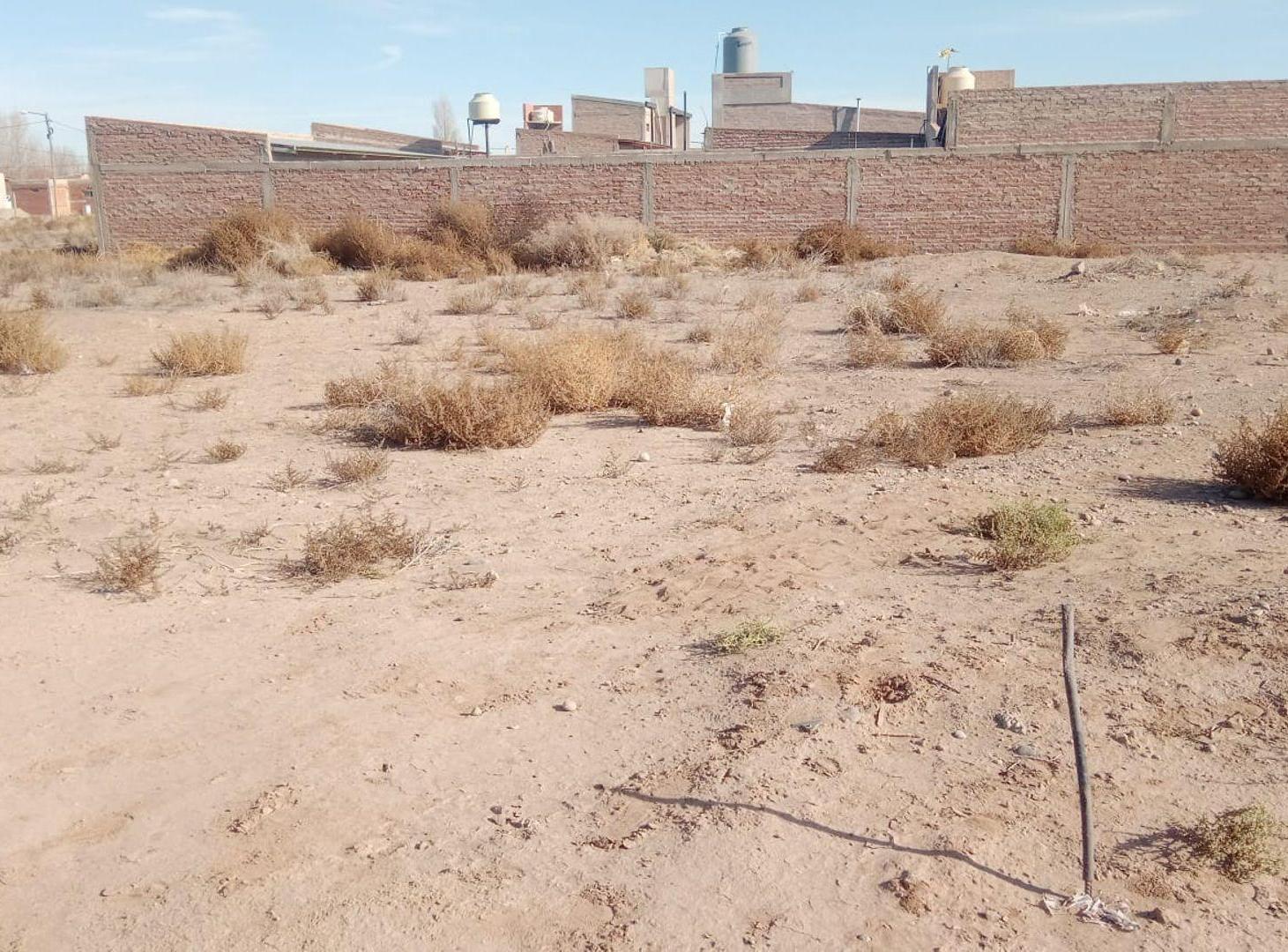 Lote 300 m2 todos los servicios Senillosa