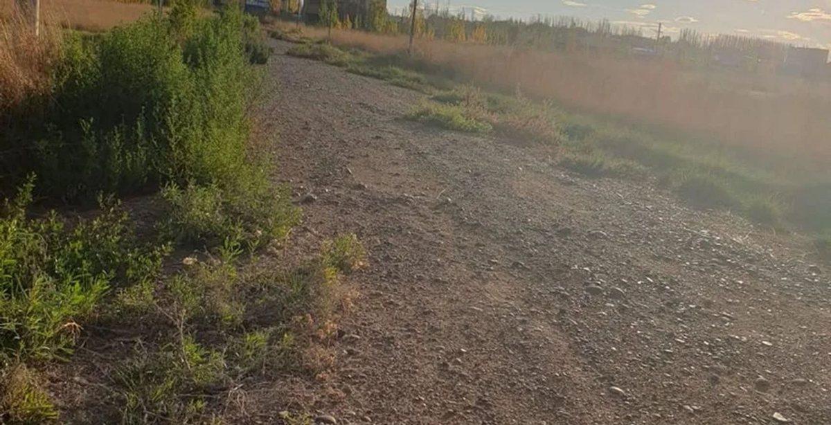 Foto de Lote en Oro: Naturaleza y Confort para tu familia, imagen 1