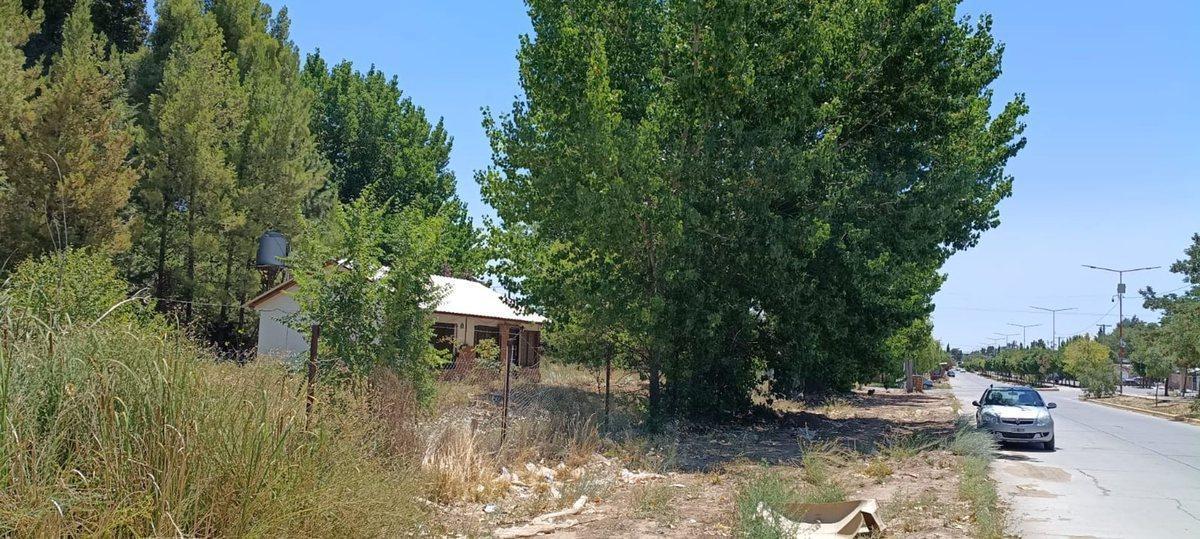 Foto de Lote 391 m2 todos los servicios, Plaza Huincul, imagen 4