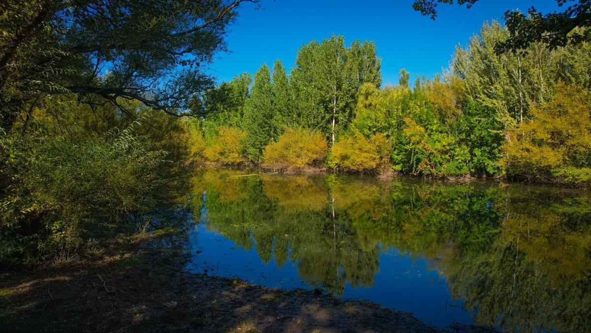 Foto de LA RESERVA / Barrio Botánico., imagen 1