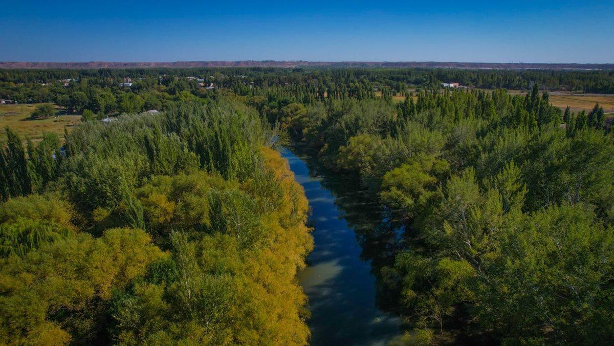 Foto de LA RESERVA / Barrio Botánico., imagen 4