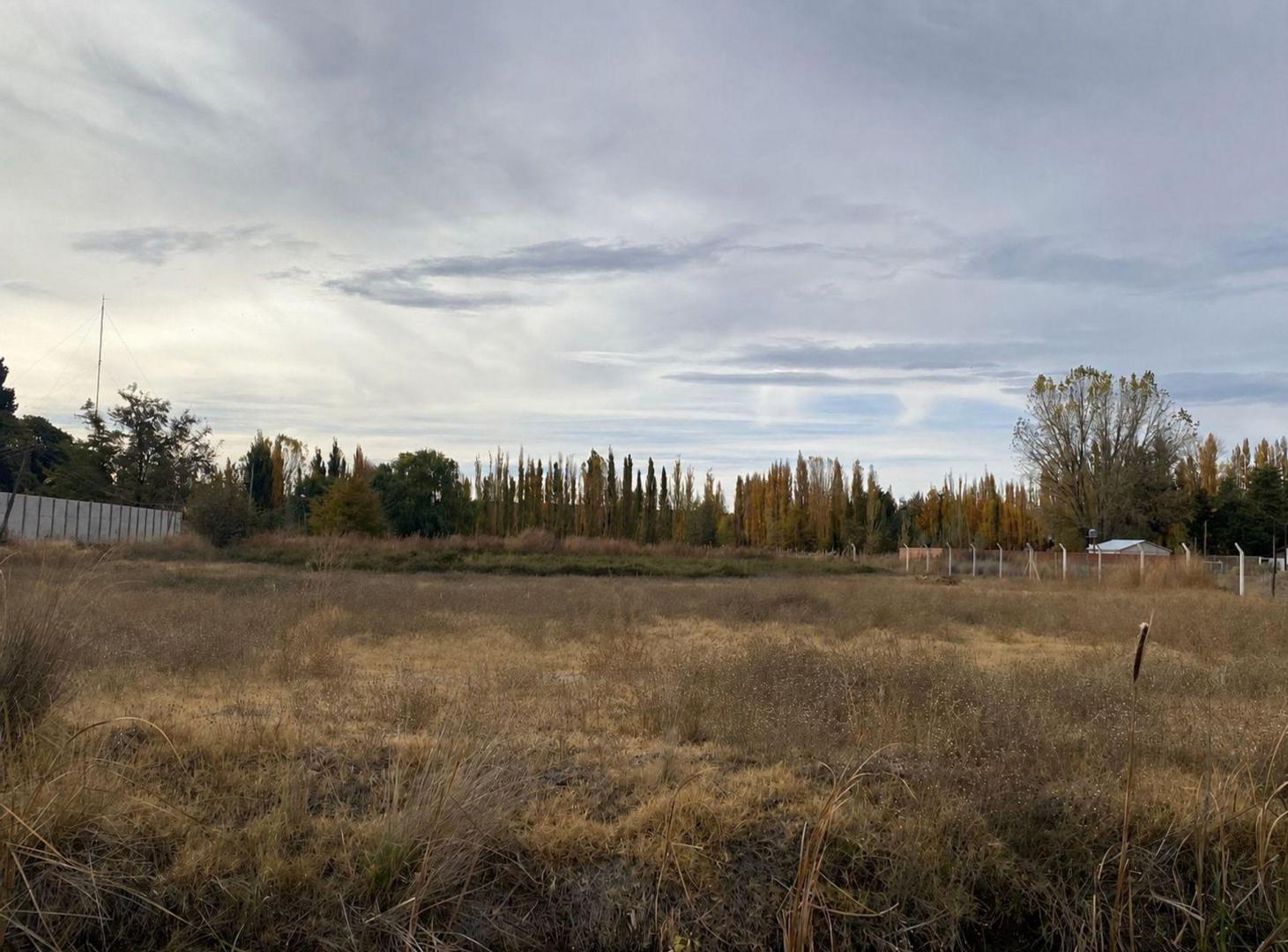 Foto de LOTE EN ALQUILER CON FRENTE DE RUTA, imagen 3
