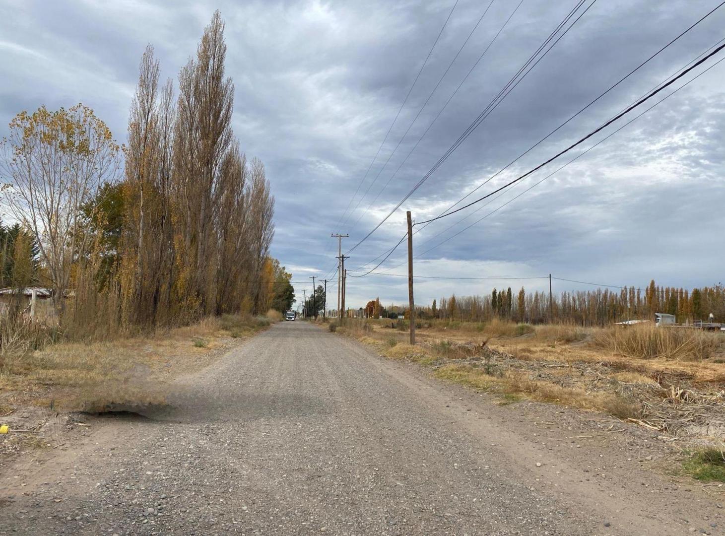 Foto de LOTE EN ALQUILER CON FRENTE DE RUTA, imagen 4