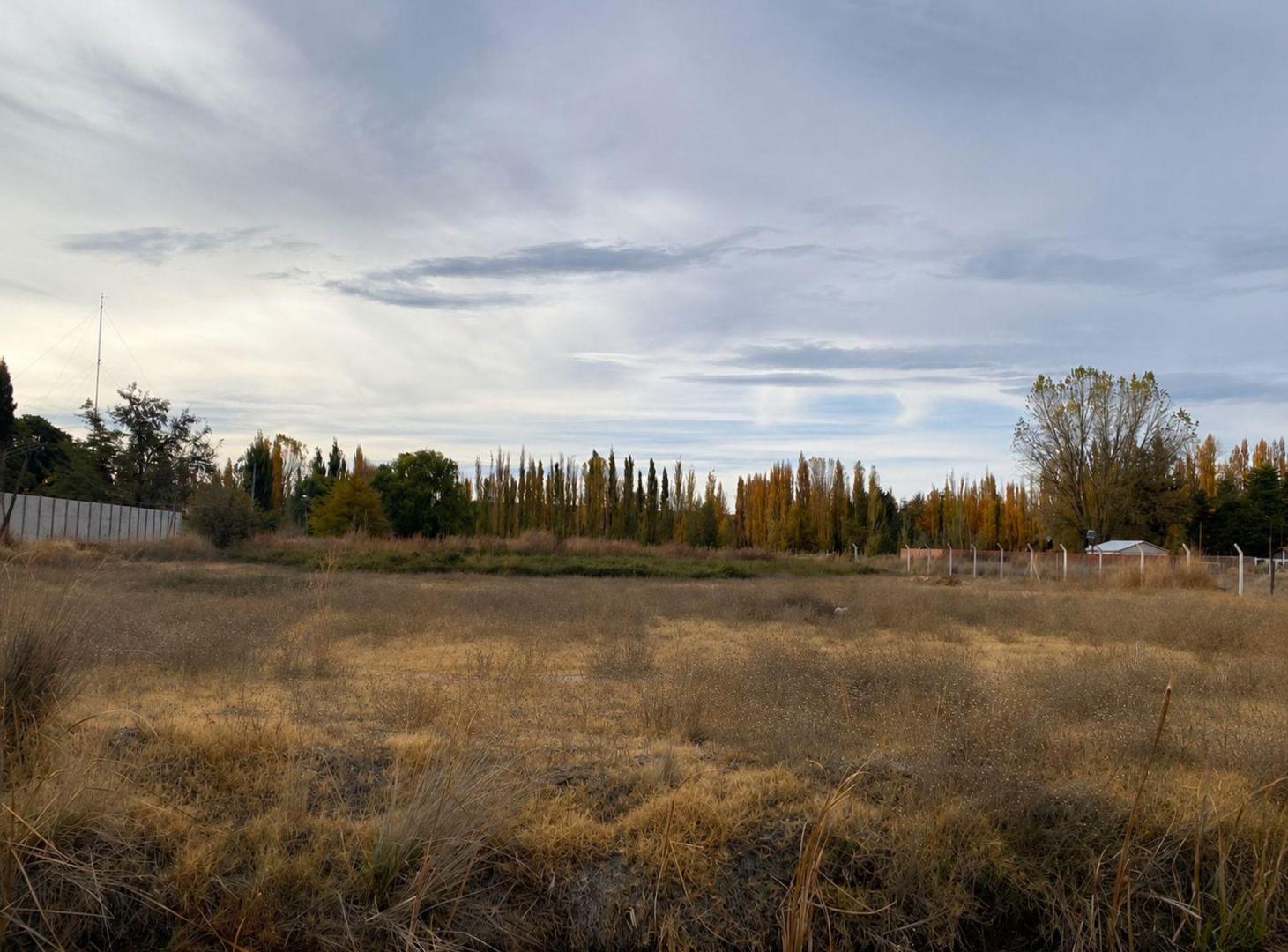 Foto de LOTE EN ALQUILER CON FRENTE DE RUTA, imagen 1