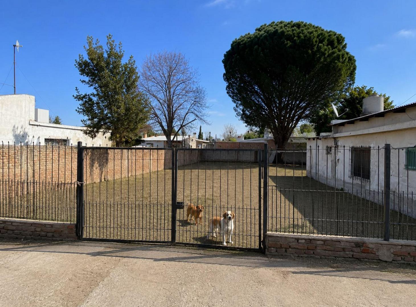 Foto de LOTE APTO DESAROLLO CENTRO DE PLOTTIER, imagen 1