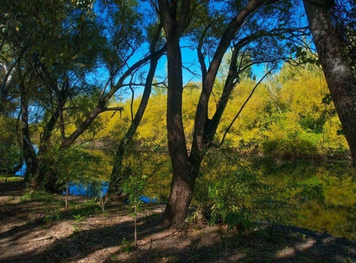 Foto de LOTE EN VENTA| LA RESERVA Bº BOTANICO, imagen 4
