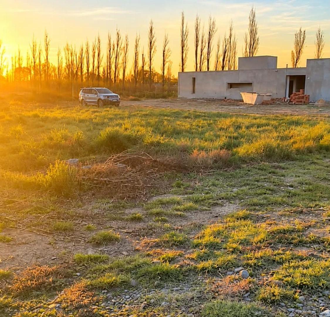Foto de VENTA TERRENO 1500 MTS. " EL PARAISO DEL VALLE ", imagen 2