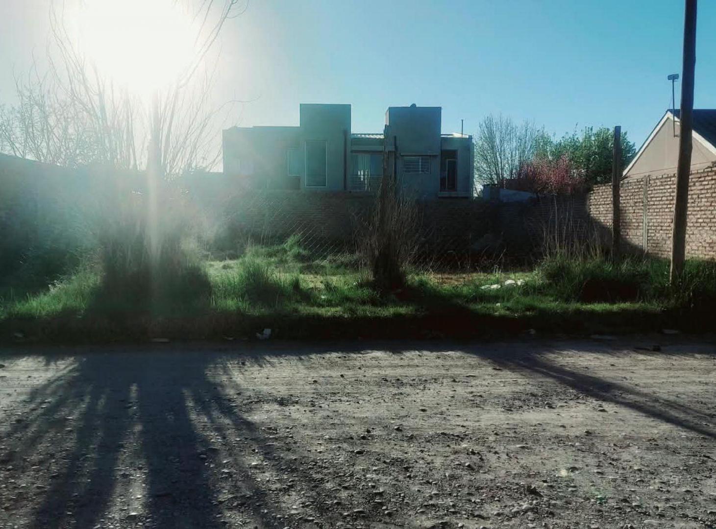Foto de PLOTTIER, VENTA DE LOTE EN PINAR II, imagen 2